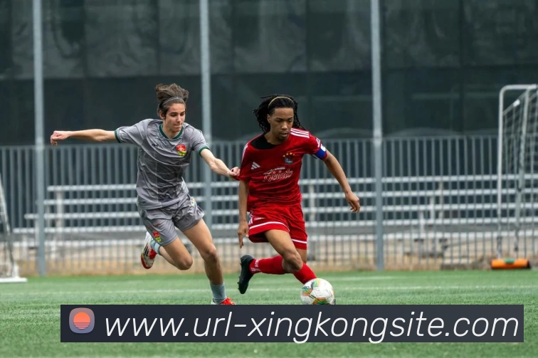 星空体育发展历程